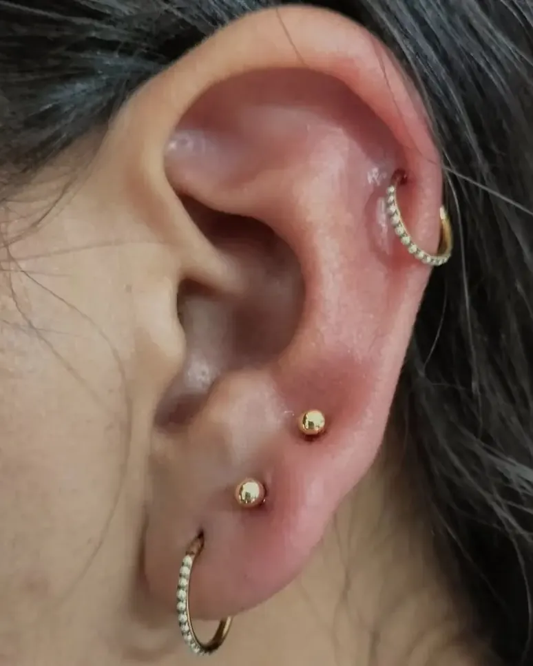 Oreja con varias perforaciones y joyería dorada, hechas en Dark Mantis