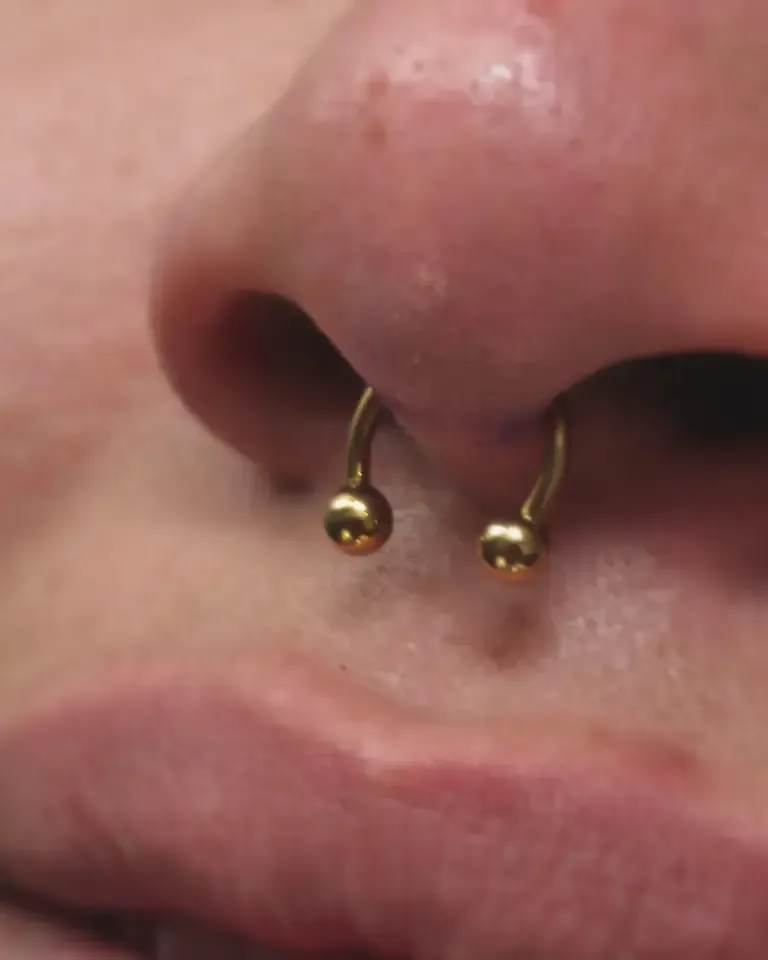 Perforación de septum con una herradura dorada